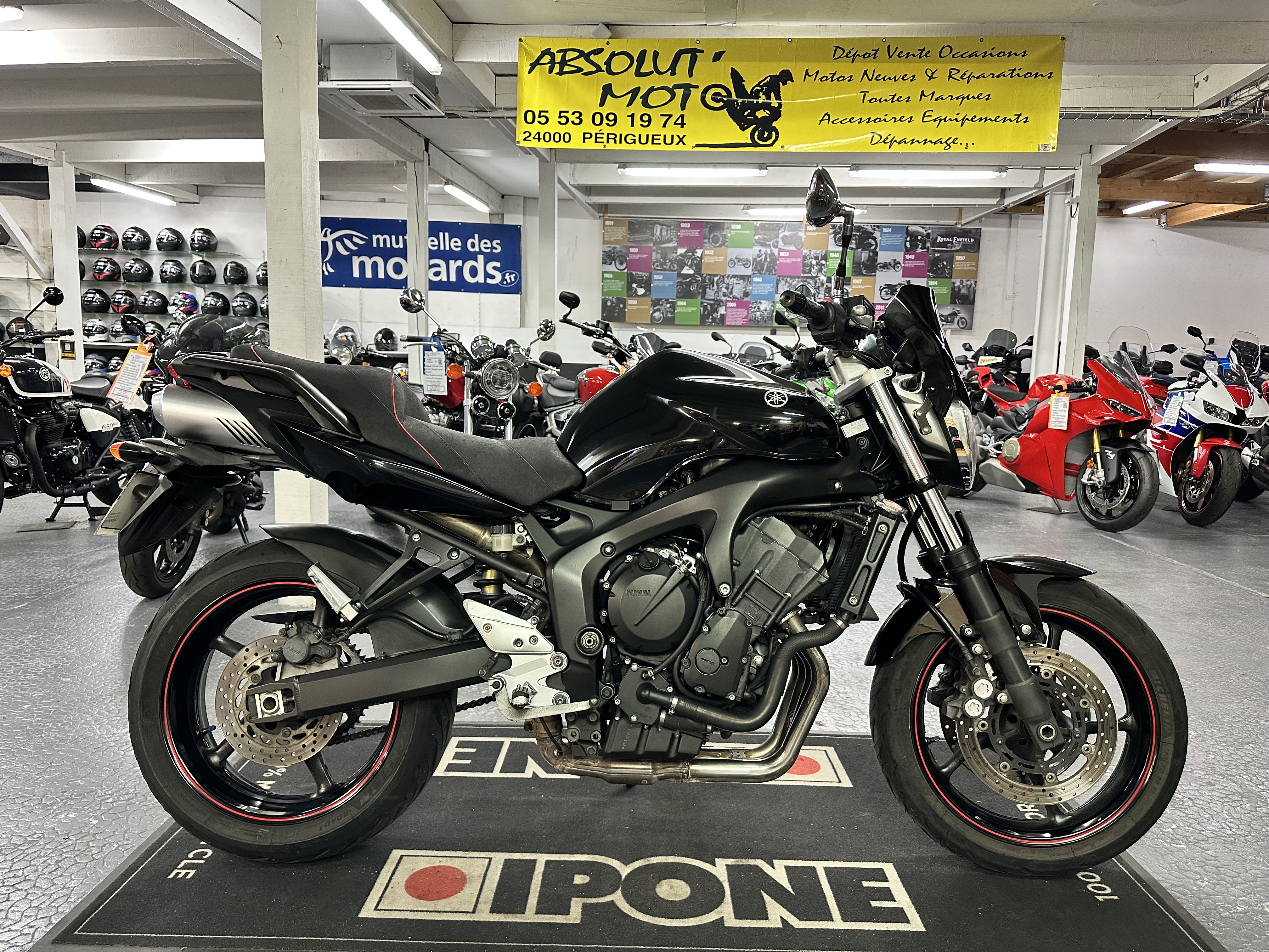 FZ6